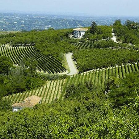 Agriturismo Cascina Anri Mango Екстер'єр фото