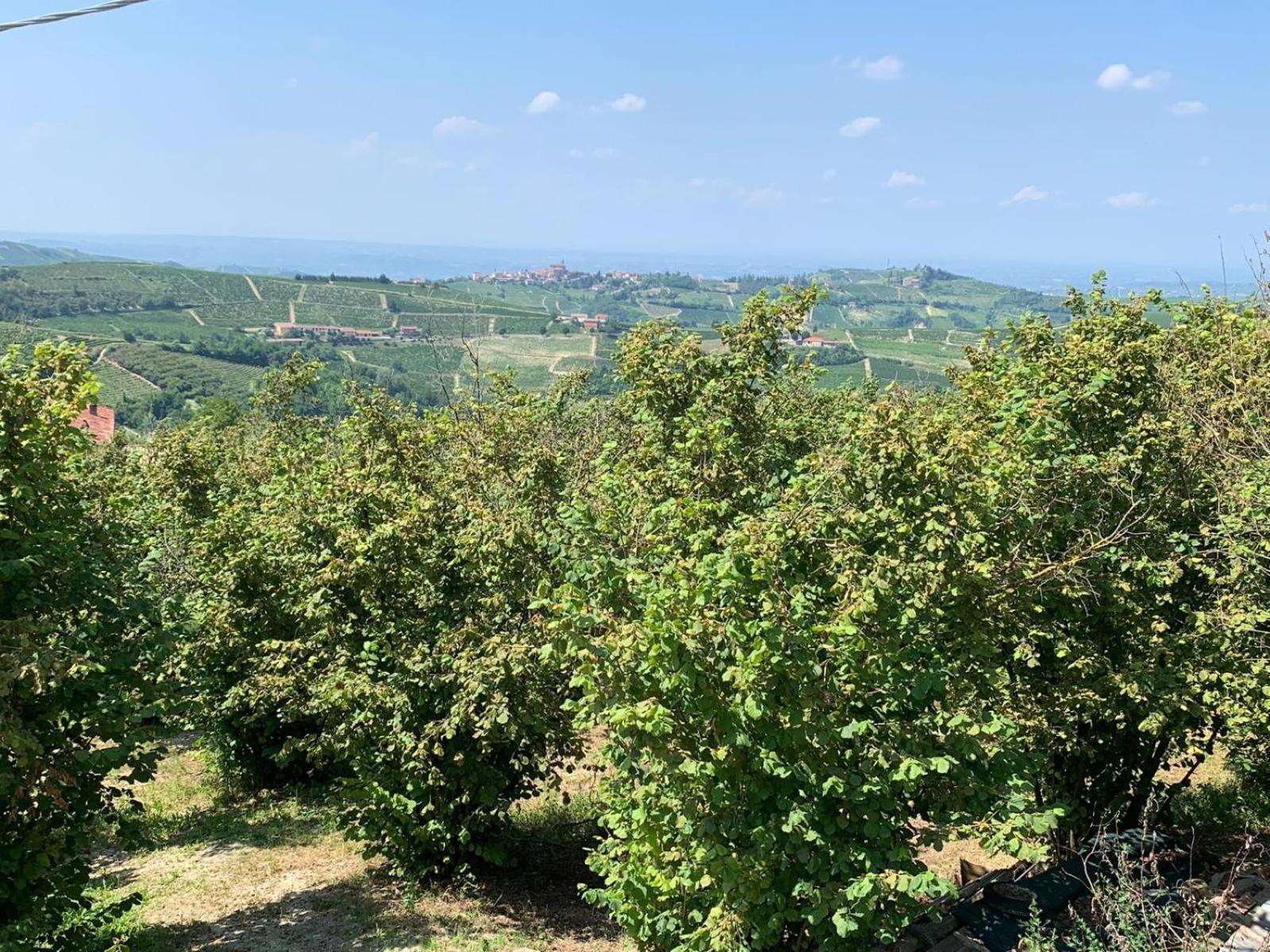 Agriturismo Cascina Anri Mango Екстер'єр фото