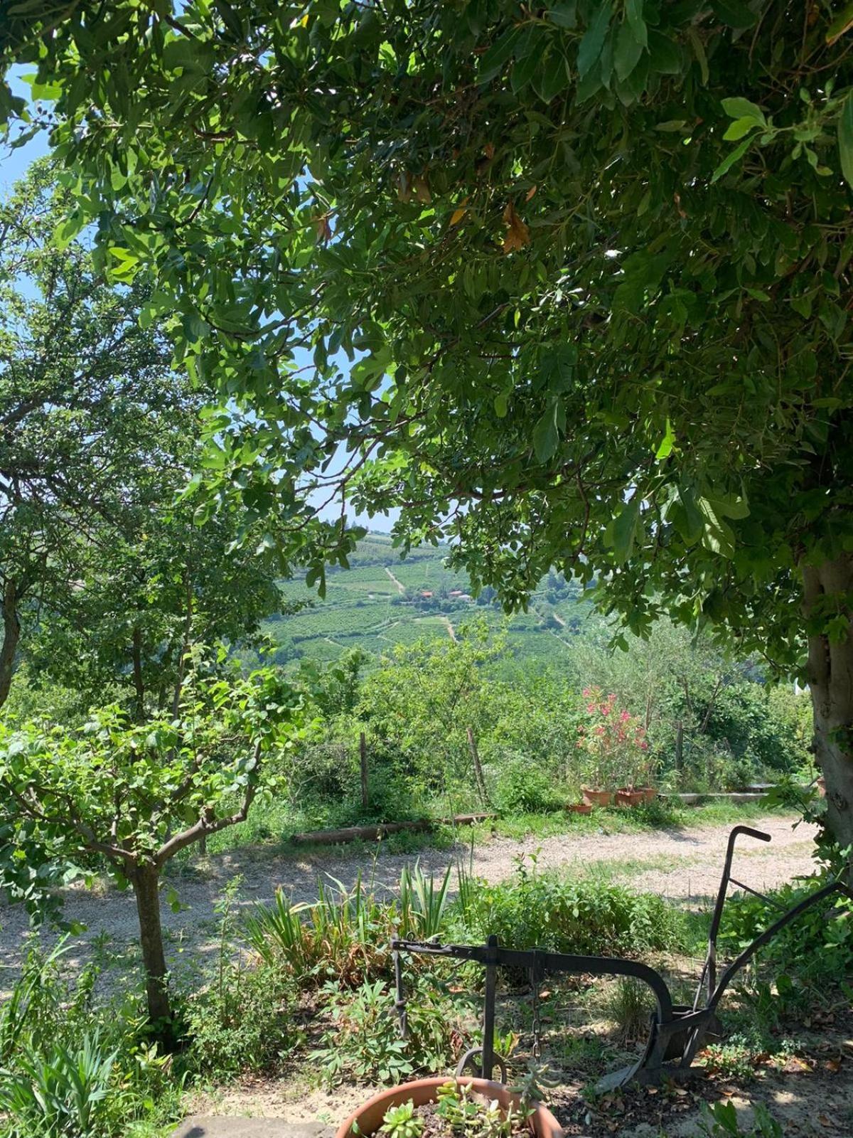 Agriturismo Cascina Anri Mango Екстер'єр фото